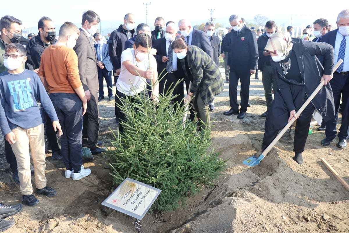 Türkiye'nin dört bir yanında milyonlarca fidan toprakla buluştu