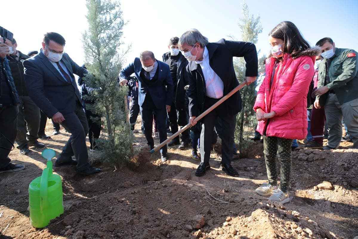 Türkiye'nin dört bir yanında milyonlarca fidan toprakla buluştu