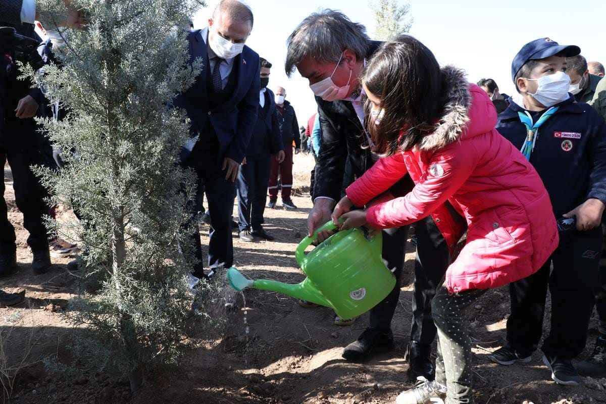 Türkiye'nin dört bir yanında milyonlarca fidan toprakla buluştu