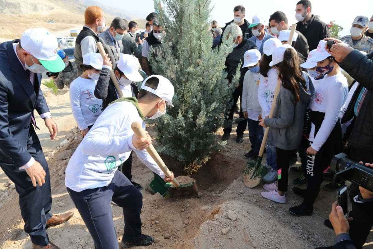 Türkiye'nin dört bir yanında milyonlarca fidan toprakla buluştu