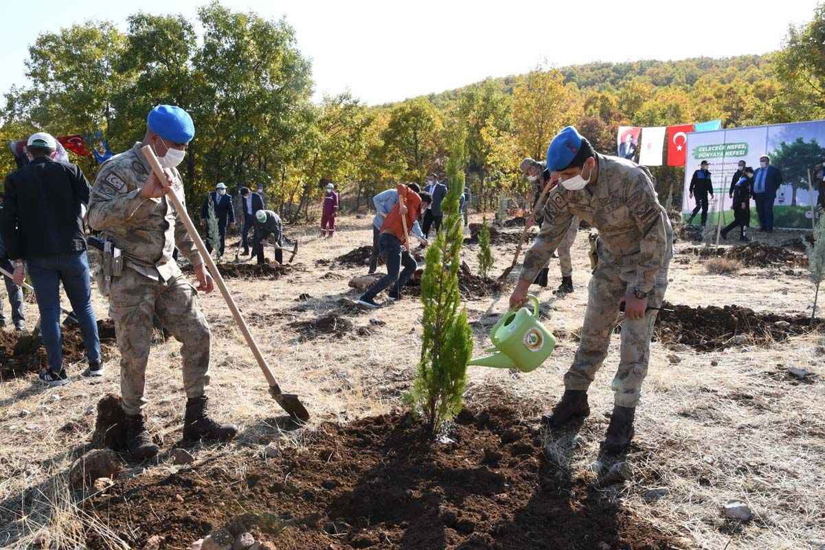 Türkiye'nin dört bir yanında milyonlarca fidan toprakla buluştu
