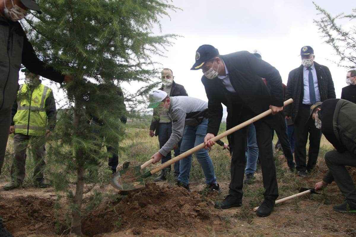 Türkiye'nin dört bir yanında milyonlarca fidan toprakla buluştu