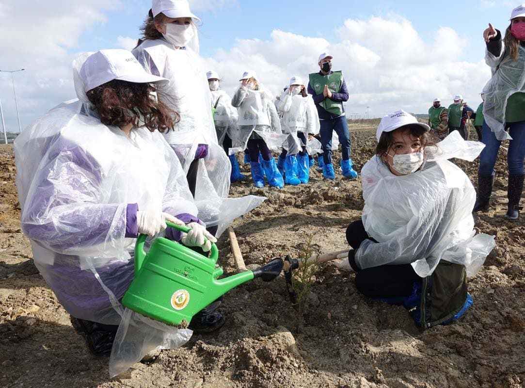 Türkiye'nin dört bir yanında milyonlarca fidan toprakla buluştu