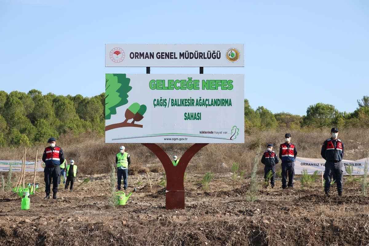 Türkiye'nin dört bir yanında milyonlarca fidan toprakla buluştu