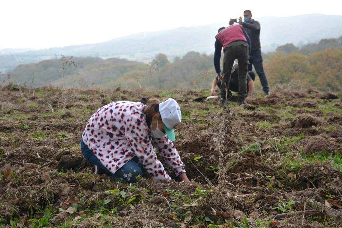 Türkiye'nin dört bir yanında milyonlarca fidan toprakla buluştu