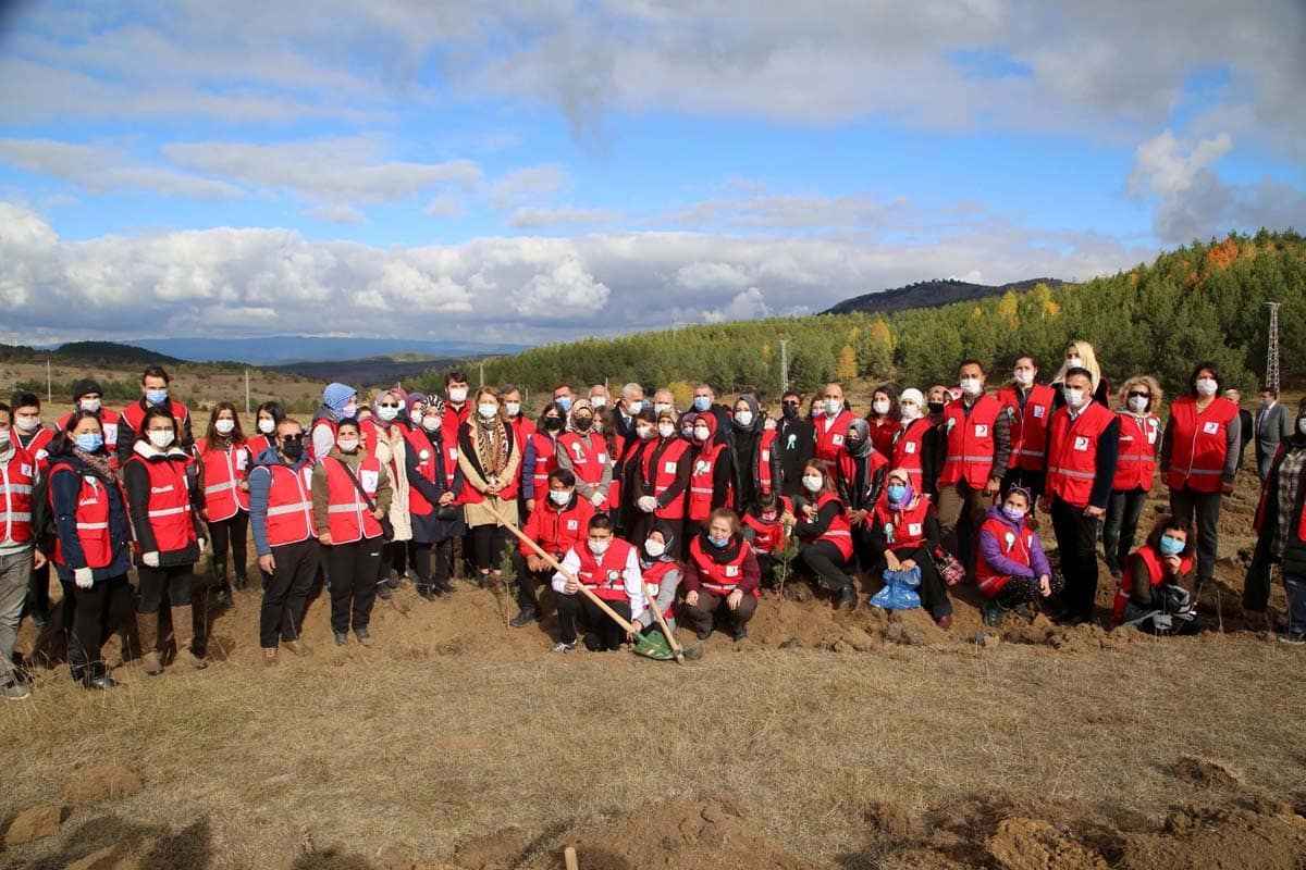 Türkiye'nin dört bir yanında milyonlarca fidan toprakla buluştu