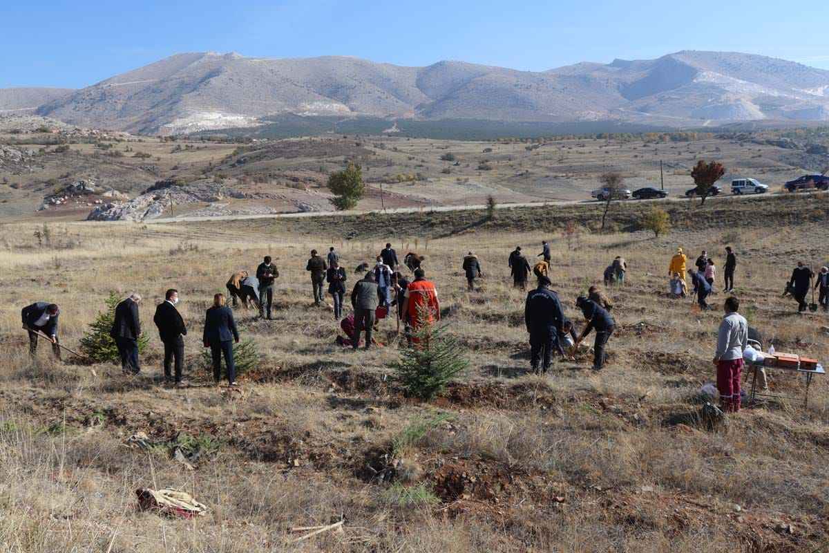 Türkiye'nin dört bir yanında milyonlarca fidan toprakla buluştu