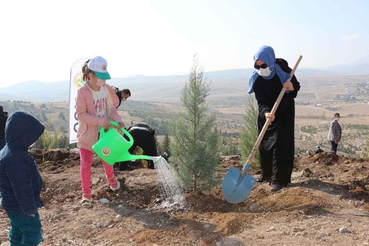 Türkiye'nin dört bir yanında milyonlarca fidan toprakla buluştu