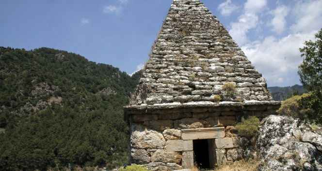 8. Bitkiler piramit içerisinde daha hızlı büyümektedir.