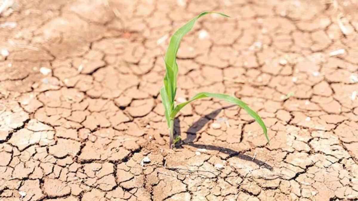 <p>Su kaynakları bakımından zengin sayılan ülkelerdeki bu oran, 8 bin ila 10 bin metreküp olarak kabul ediliyor. Türkiye İstatistik Kurumu, Türkiye'nin nüfusunun 2030’da 100 milyona ulaşacağını öngörüyor. Bu durumda, kişi başına düşen su miktarının 1120 metreküpe kadar düşmesi bekleniyor.</p>