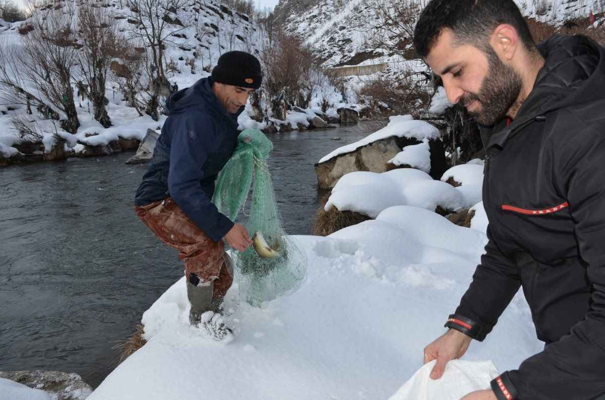 <p>Şırnak'ın Beytüşşebap ilçesinde bulunan Habur Çayı, kış aylarında buz gibi suda, hava sıcaklığının eksi 21 dereceyi bulmasıyla vatandaşlar, serpmelerle balık avına çıkıyor.</p>