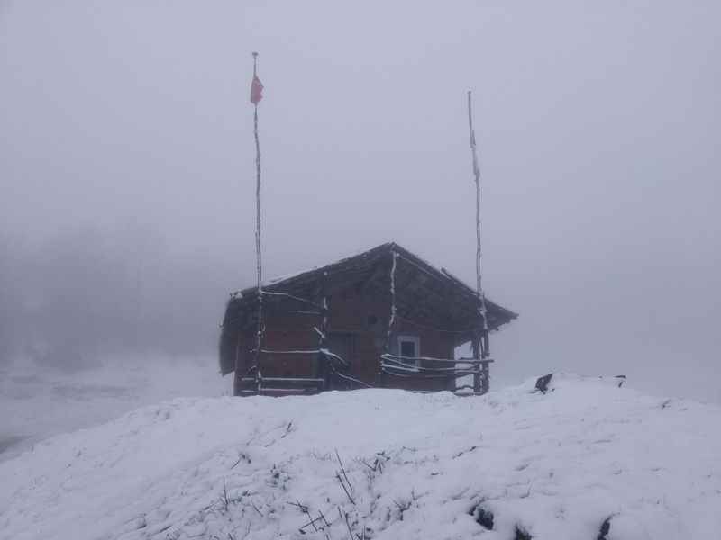 <p>              </p>