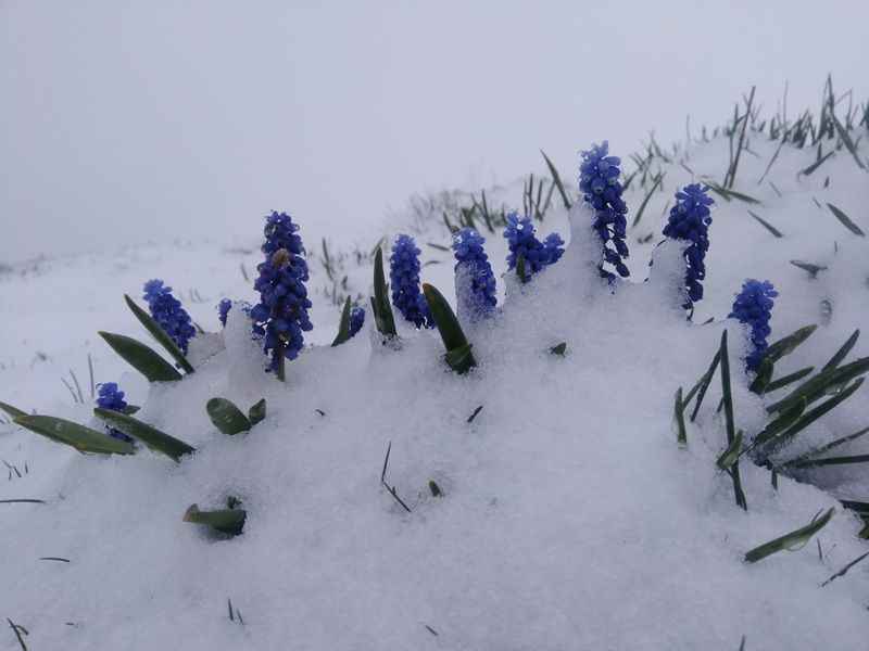 <p>                   </p>