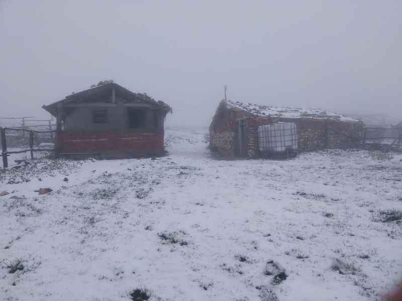 <p>              </p>