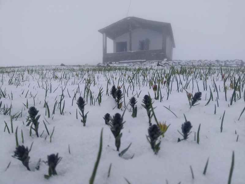 <p>               </p>