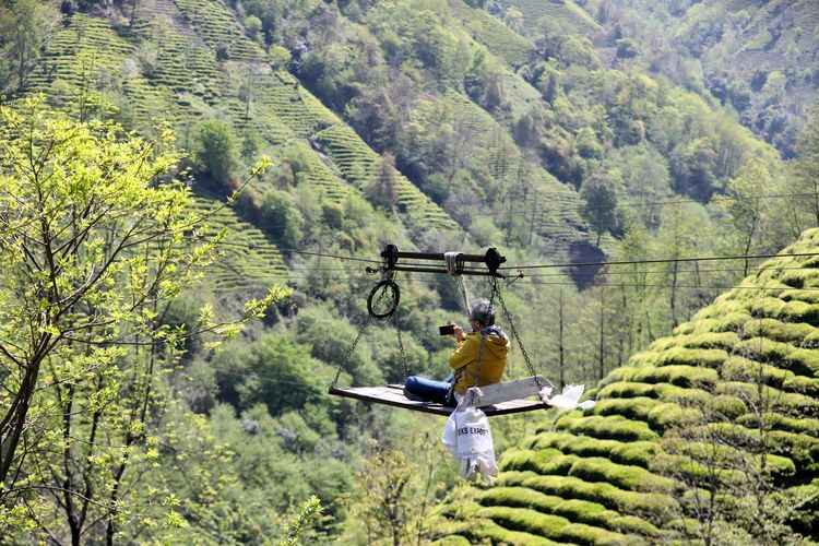 <h3>Teleferik parmağını kopardı</h3>
<p>Hatice Dil de teleferiğin üzerinde bıraktığı izi şöyle anlattı:</p>
<p>"Ben 10 yaşındaydım, teleferik yeni gelmişti. Elektrik kestiği için ileri geri deneme yapıyorlardı. Makaraların oradan yardım edeyim diye çekerken parmağımı kaptırdım. Parmağımın tepesini koparıp attı. Kolumu kaptırsam kolum kopacaktı. Bacağını, kolunu, parmağını koparır. Teleferiğin hepsi tehlike."</p>
<p>Mağduriyet yaşadıklarına dikkati çeken Dil, "Bize yetkililer, devletimiz yardım etsin. Herkesten destek bekliyoruz. Tek temennimiz yol, yolumuz olursa evimize ve arazimize rahat gidip gelebiliriz. Teleferiği yük taşımacılığı dışında kullanmayız. Güvende oluruz." değerlendirmesinde bulundu.</p>
<p>Yetkililer, yaklaşık 2 kilometrelik yol için inceleme çalışmalarının sürdüğünü, bazı özel mülk sahiplerinin yol için izin vermediğini kaydetti.</p>