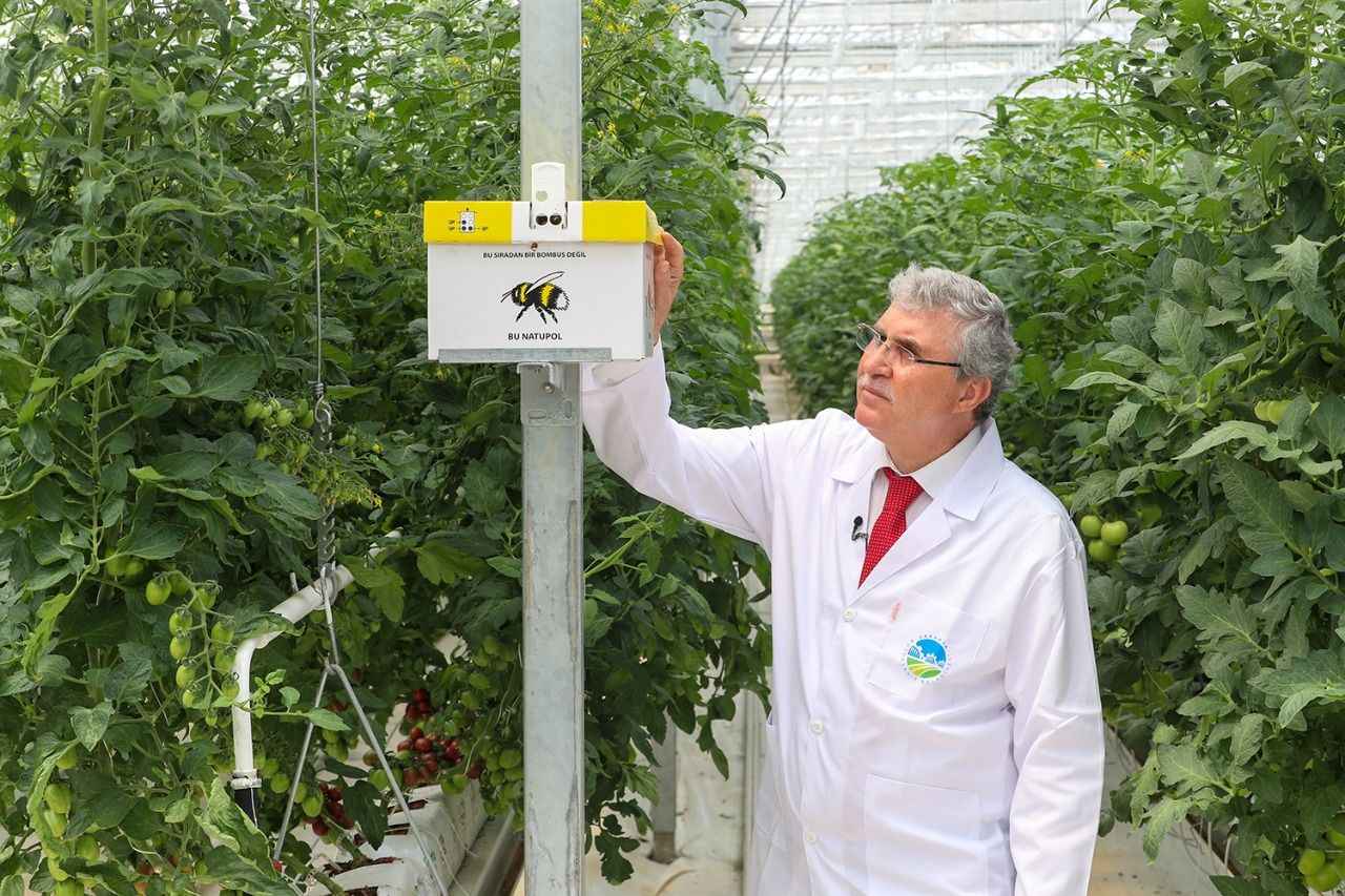 <p>Türkiye'nin tarımsal kalkınma politikalarına Sakarya'dan çok güçlü destek sunduklarını, şehrin verimli topraklarını karış karış işlediklerini belirten Yüce, üretimi, verimliliği ve kaliteyi artırmak, insan sağlığına faydalı ürünler yetiştirmek için harekete geçerek merkezi hayata geçirdiklerini bildirdi.</p>