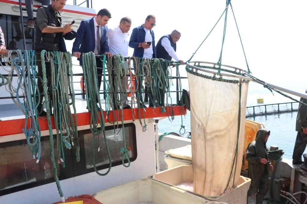 Samsun'da Türk somonu hasat edildi 