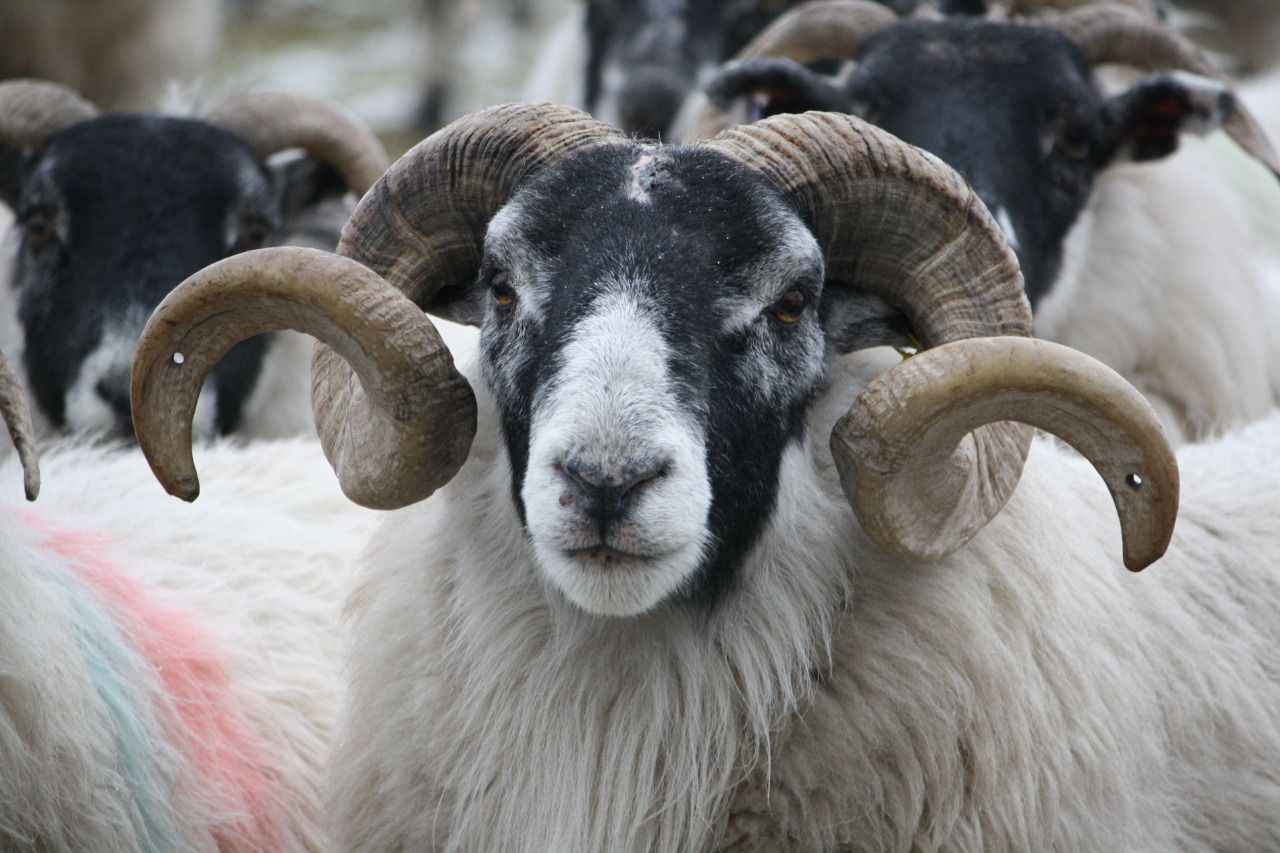 <p>4-Ailenizle ve sevdiklerinizle mutlu huzurlu bir  <a href="https://www.dirilispostasi.com/haberleri/bayram" class="tag-link" title="Son dakika Bayram haberleri" target="_blank">bayram</a> dilerim.</p>