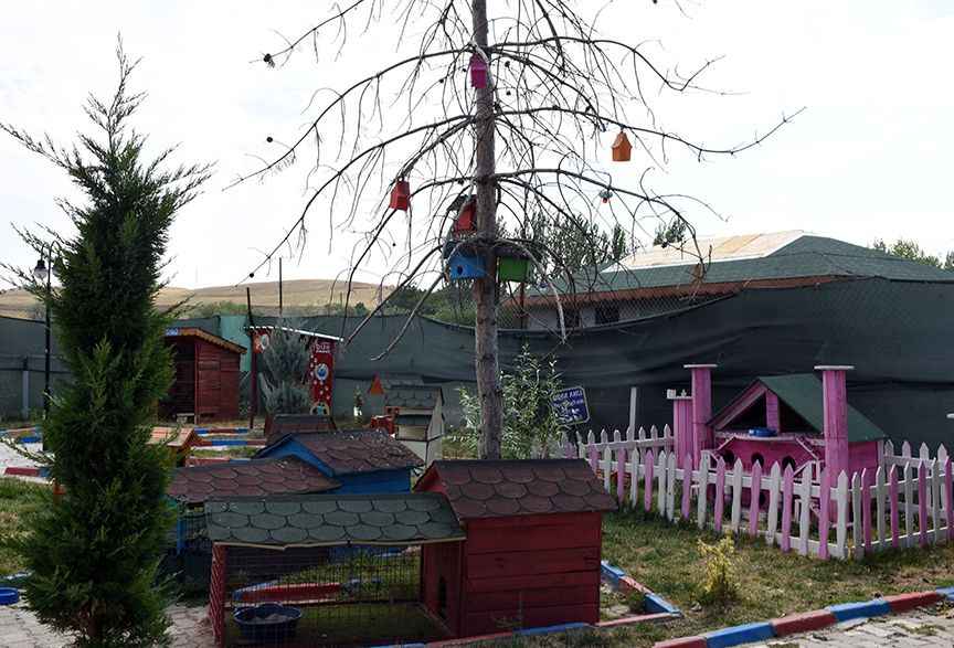 <p>Belediye Başkanı Osman Türkyılmaz, AA muhabirine, 1,5 yıl önce açtıkları Kedi Köyü'nün yavru, engelli ve hamile kedilere hizmet verdiğini söyledi.</p>
<p>Kedi Köyü'nün hemen yanında da geçici köpek barınağının bulunduğunu aktaran Türkyılmaz, şöyle konuştu:</p>
<p>"Mevcut 9 personel ve bir veteriner hekimimizle birlikte 30 bin nüfuslu bir ilçede hizmet vermeye çalışıyoruz. Geçen yıl Türkiye Belediyeler Birliği tarafından düzenlenen 'Sahipsiz Evcil ve Sokak Hayvanlarının Barınma ve Beslenme Şartlarının İyileştirilmesi Fikir ve Proje Yarışması'nda 10'uncu olduk ve ödülümüzü de Cumhurbaşkanı Recep Tayyip Erdoğan'ın eşi Emine Erdoğan'dan aldık. Aldığımız 500 bin liralık ödülle birlikte Kedi Köyü'müz daha da güzelleşti. Şu anda burada genellikle yavru ve engelli kedilerimiz var. Hamile kedileri aldığımız yerlere geri bıraktık. Günlük 3 personelimiz düzenli olarak bakımlarını ve besleme işlemlerini yapıyor. Yine belirli noktalara kediler için mama bırakıyoruz. Kediler için yıllık 25 tona yakın mama dağıtmaktayız."</p>