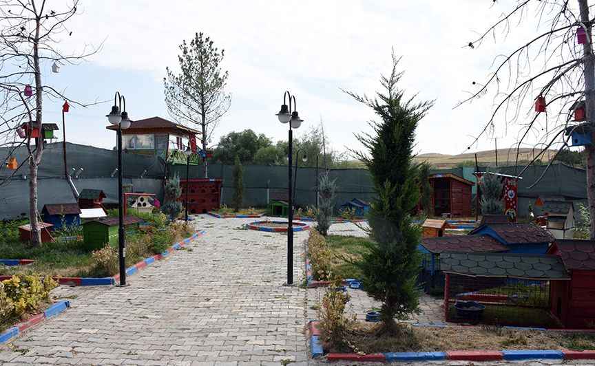 <p><span>Kedi Köyü'nde şu ana kadar kayda alınmış 175 kedi doğdu. Yaralı 50 kedinin ameliyatı ve 40'a yakınının da doğumu gerçekleştirildi. Yavru ve engelli kedilerimizi aynı zamanda sahiplendiriyoruz. Her gelene de kedi vermiyoruz. Öncelikle bakabileceklerine ikna olmak için kontrolleri de yapıyoruz."</span></p>