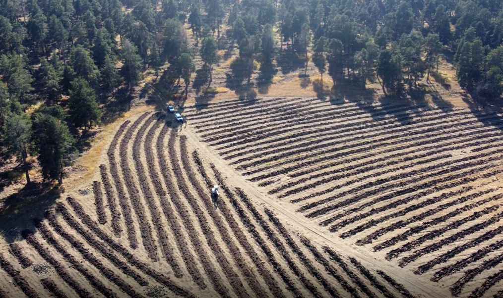 <p>KARS-SARIKAMIŞ</p>