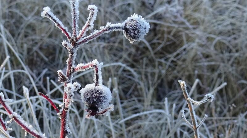 <p>Böylece ortaya kartpostallık görüntüler çıkmış oldu</p>