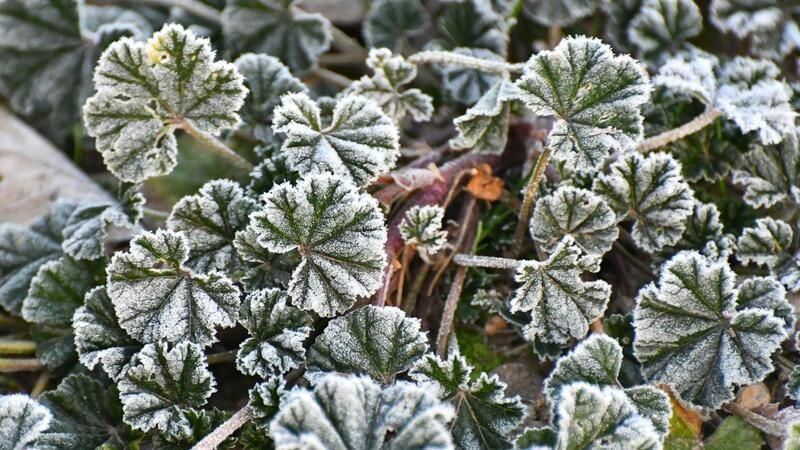 <p>Kars'ta soğuk hava etkili oluyor</p>