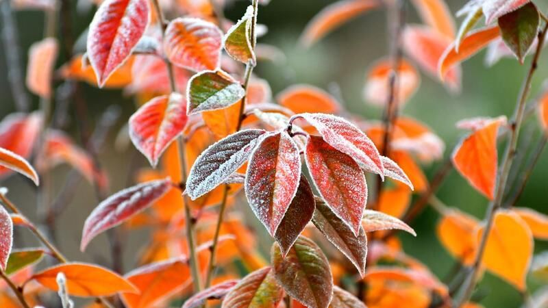 <p>Kars'ta soğuk hava etkili oluyor</p>