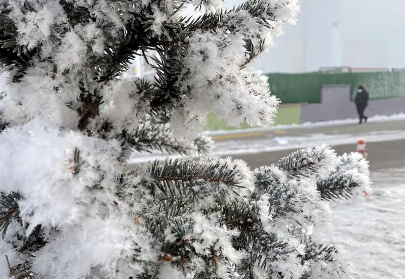 Ekimde En Düşük Sıcaklık Erzurum'da Ölçüldü2