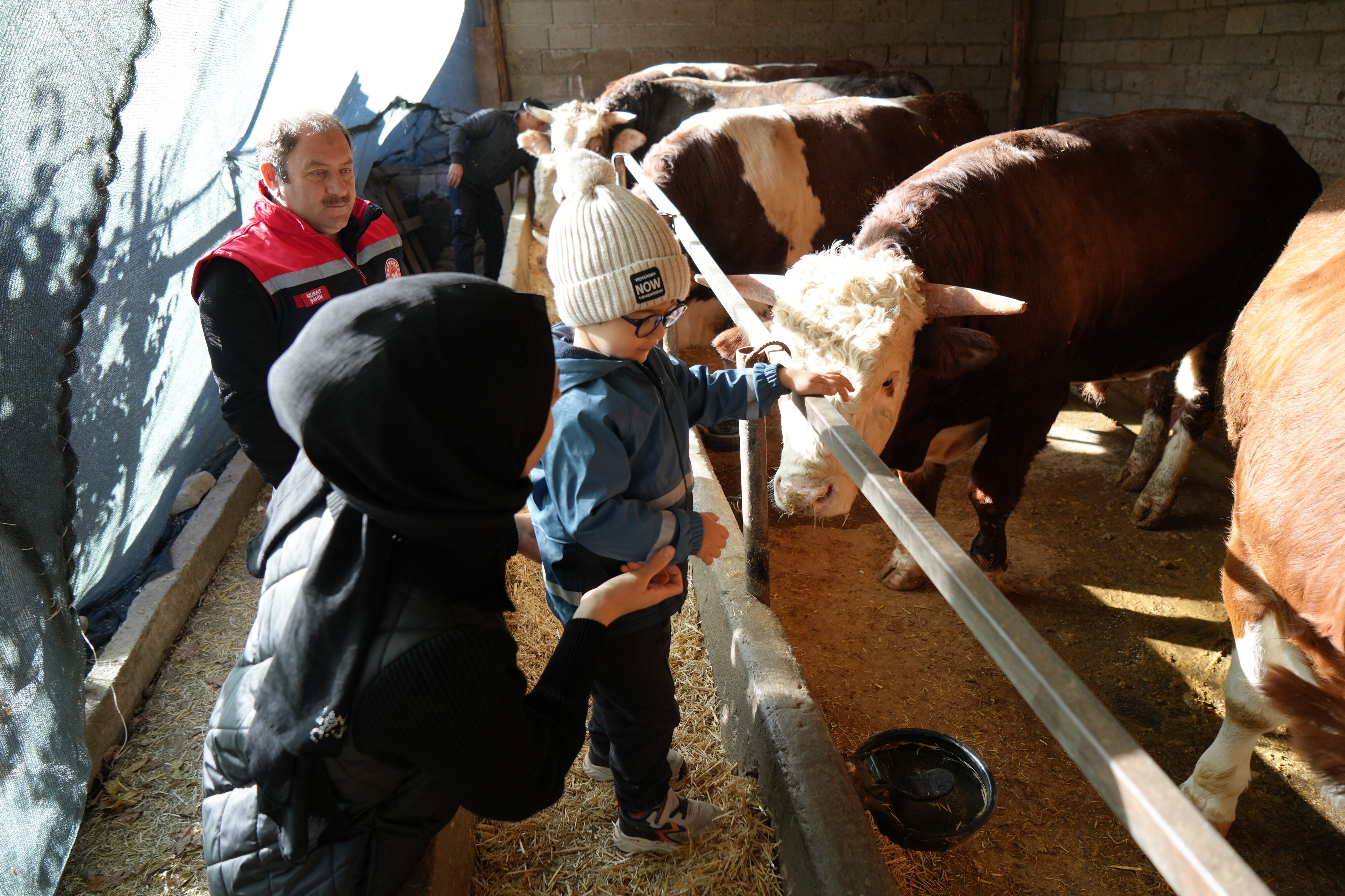 Erzincan’da 2 Çocuk Annesi Devletten Aldığı Destek Ile Genç Yaşta Besici Oldu (3)