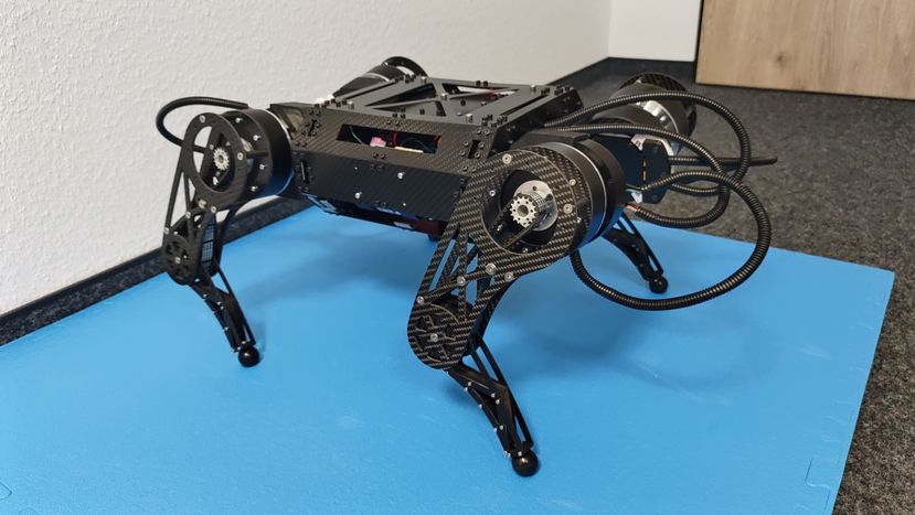 Robot Köpekler