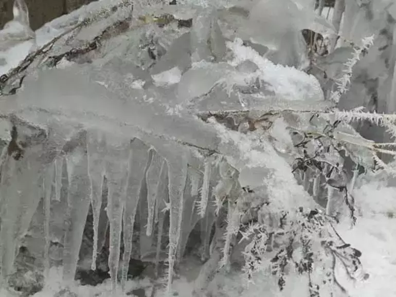 Ardahan'da Sibirya Soğukları! Hava Eksi 26 Derece3