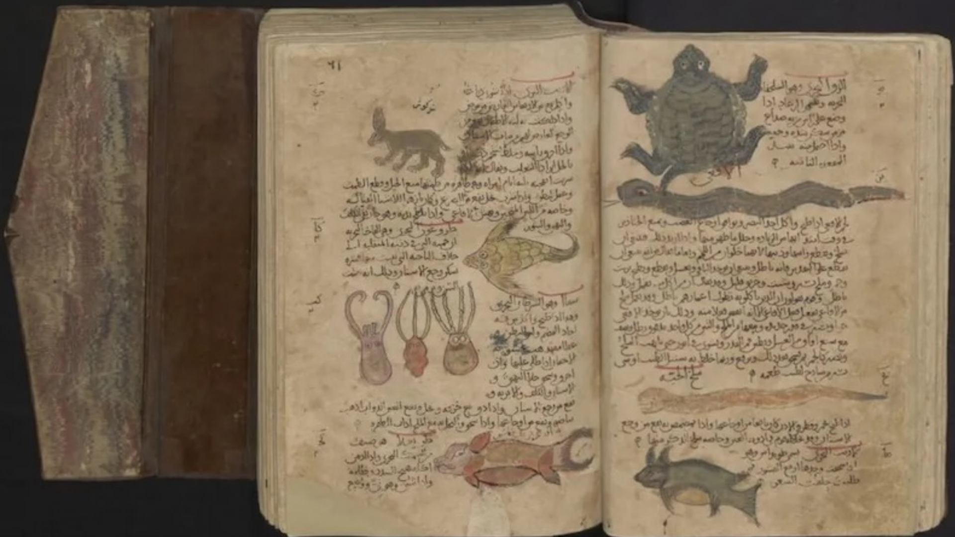 İslami El Yazmalarında Yüzlerce Yıllık Gizem 3