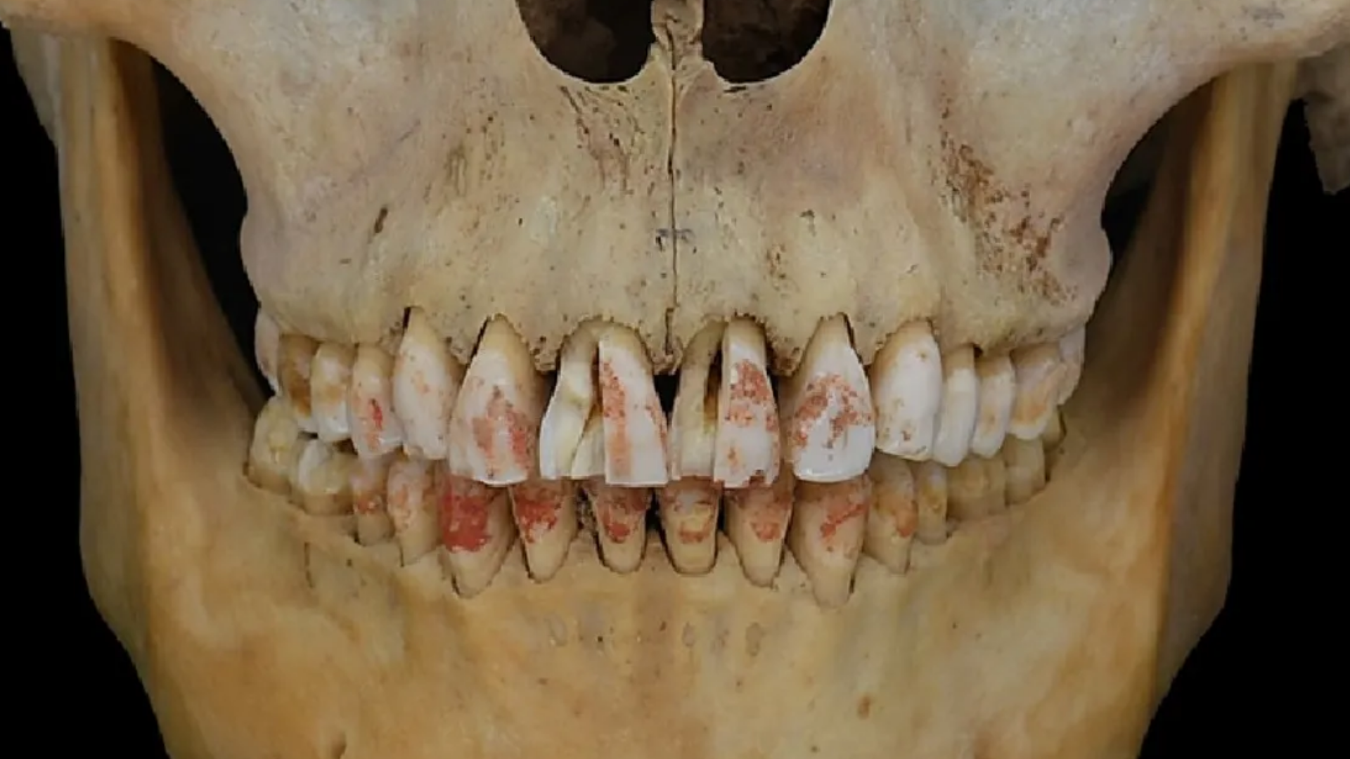 Ölümsüzlüğün Bir Sembolü Olabilir