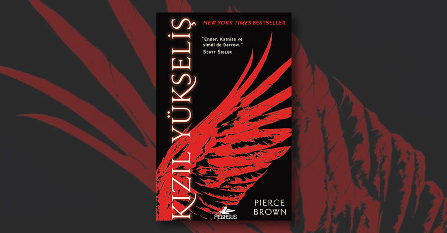 Resim 2025 02 21 122656410