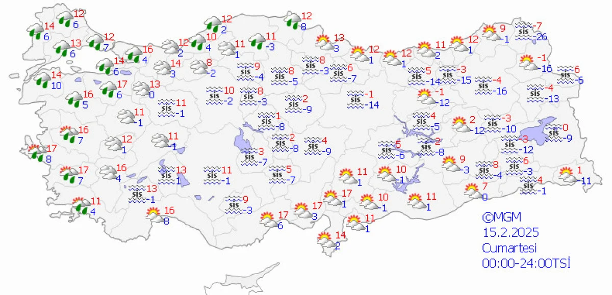 Yan20-8