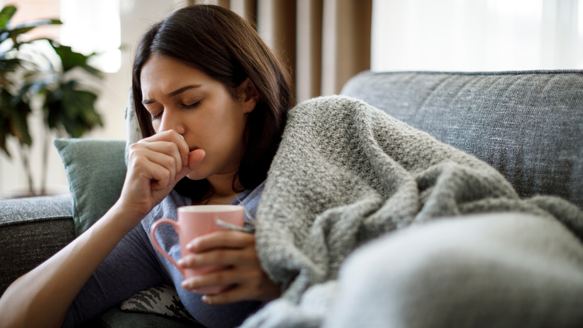 Balgamlı Öksürük 1