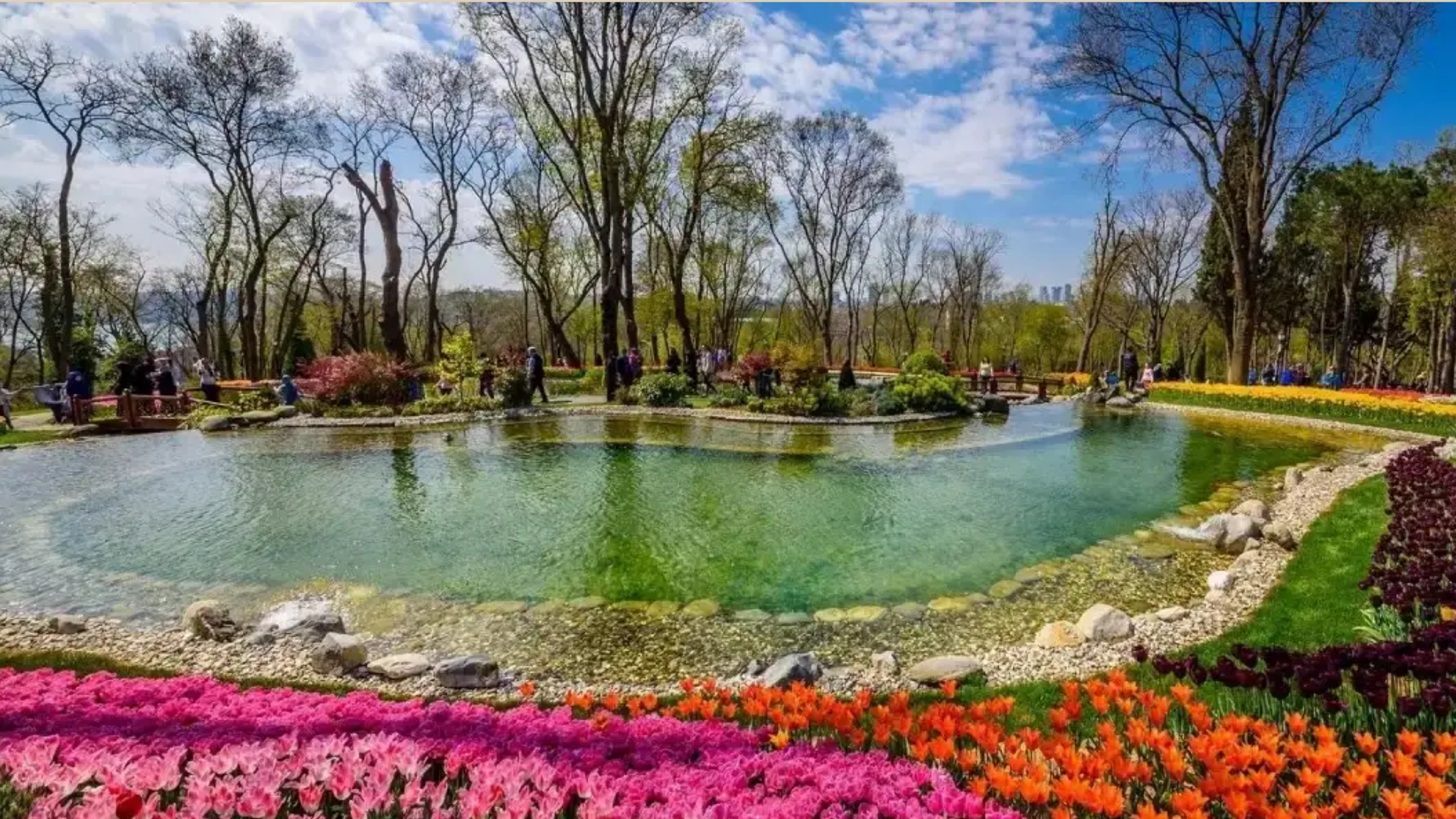 Emirgan Korusu (1)