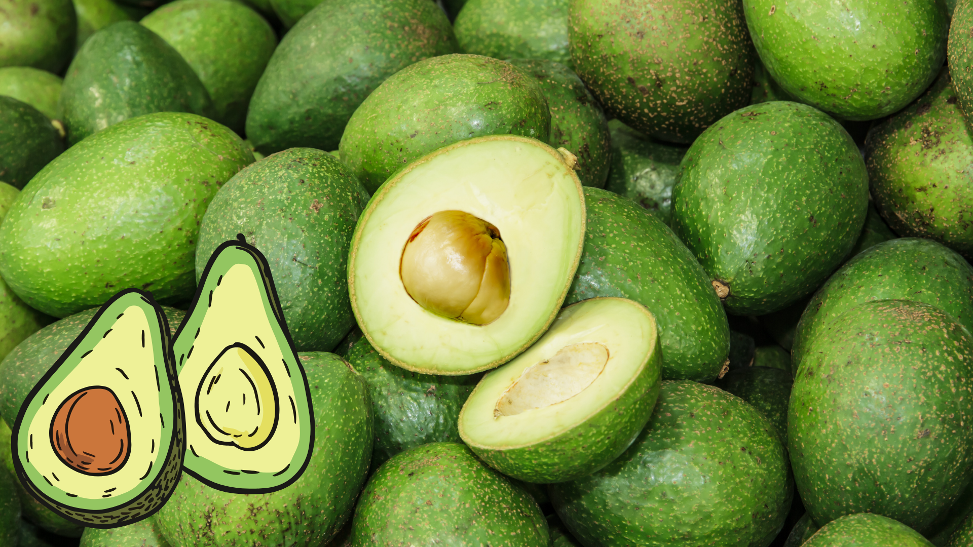 Saatlerce Tok Tutuyor, Hafızayı Güçlendiriyor! Hiç Bilmediğiniz Faydaları