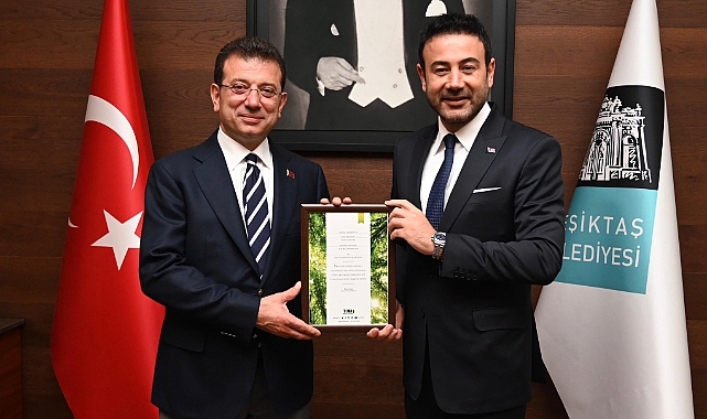 Tan6-4