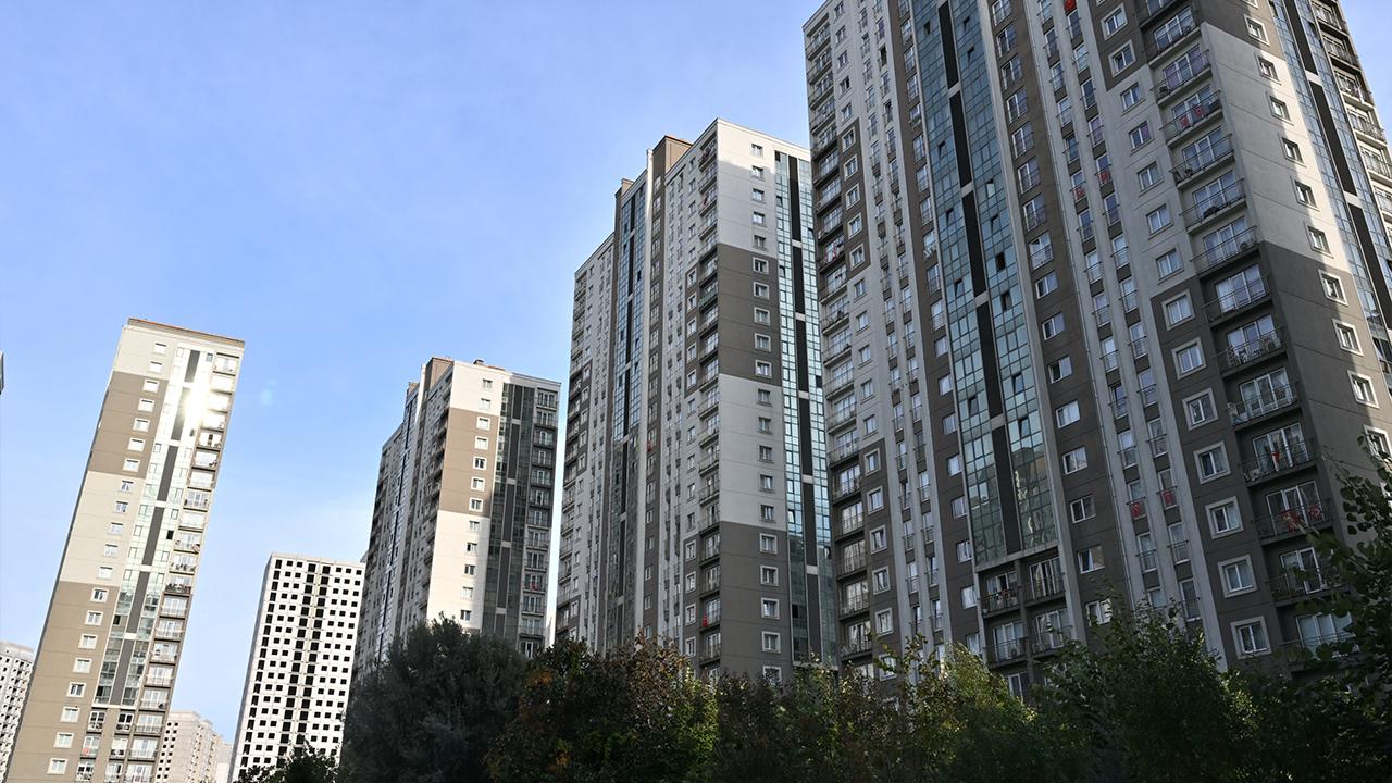 Yan43-14