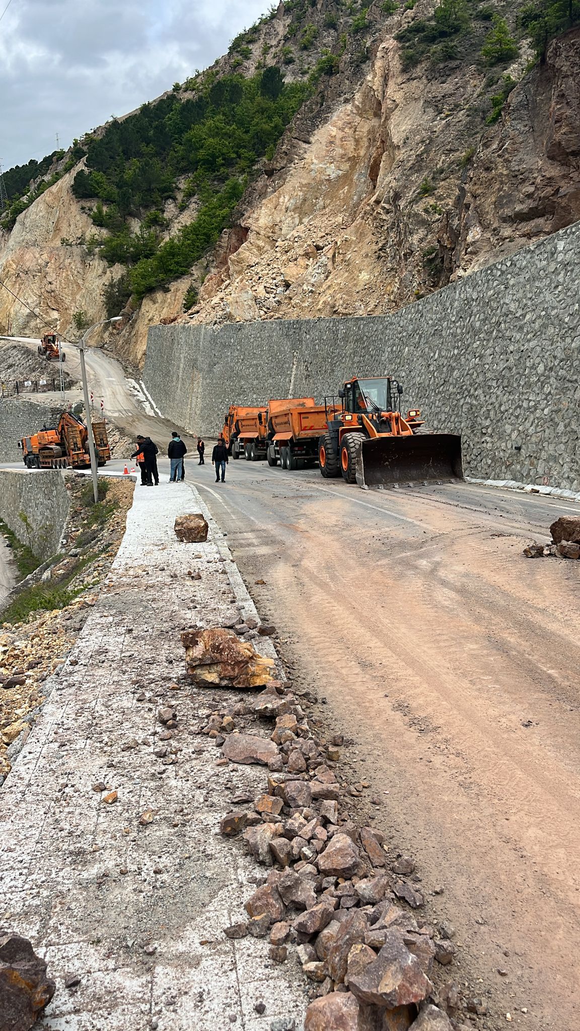 A R T V I N’ D E O P E R A T O R U N H E Y E L A N D A N S O N A N D A 658631 195154