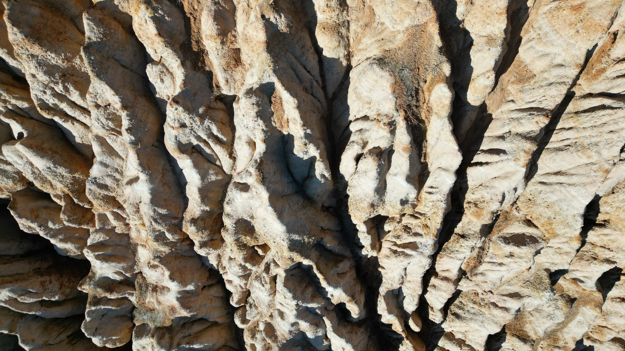 Ekonomi̇st 2025 04 30T114700.748