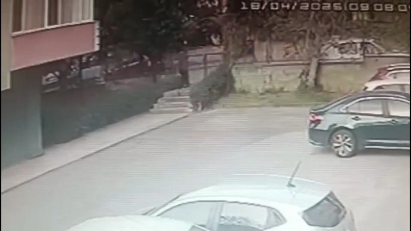 I S T A N B U L P E N D I K T E S E V G I L I S I N I B I C A K L A Y 671981 199027