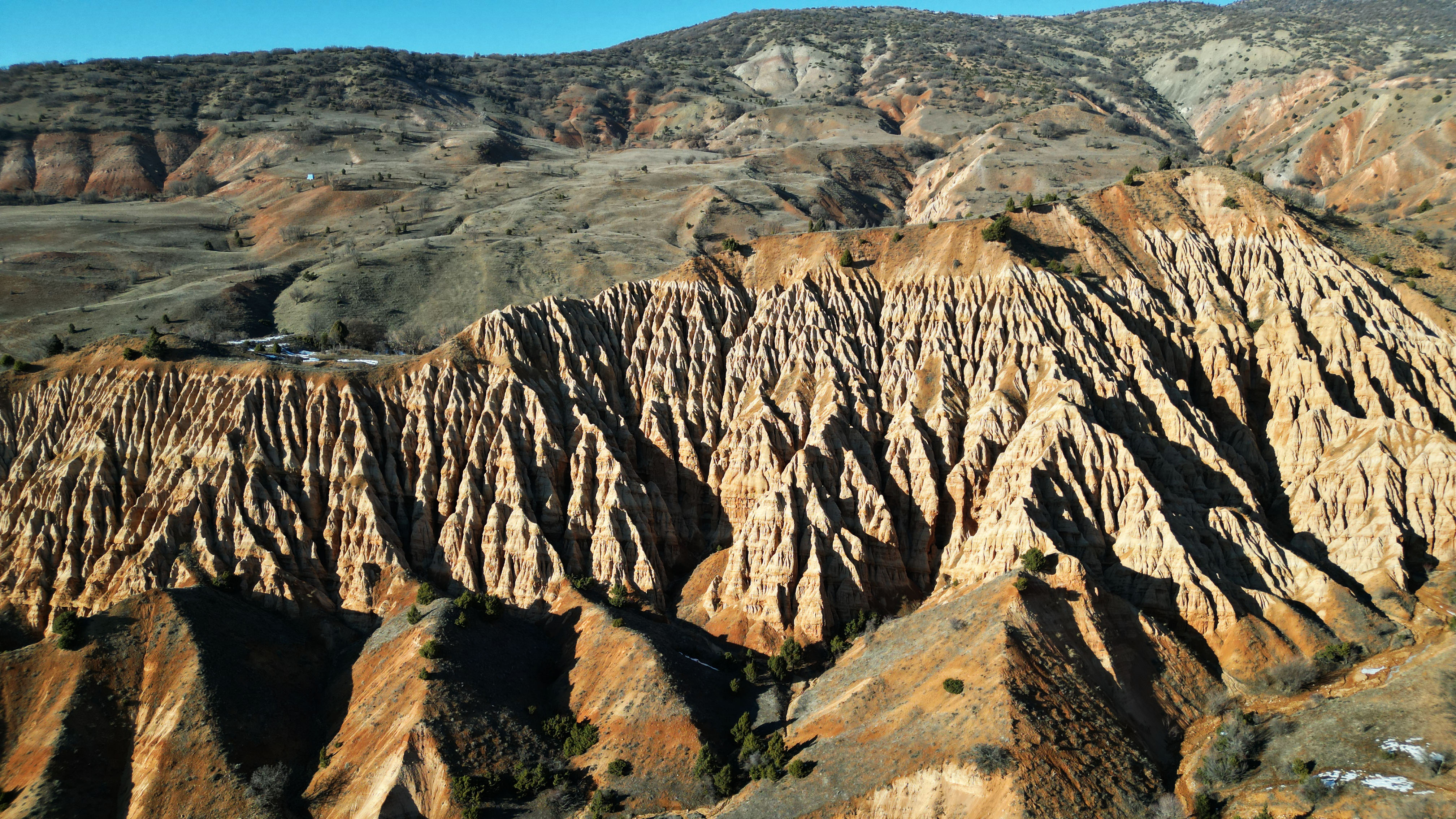 M I L Y O N L A R C A Y I L D A O L U S A N D O G A L S A N A T E S E 686336 203317