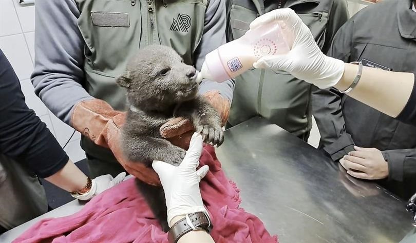 O R M A N D A Y O R G U N H A L D E B U L U N A N Y A V R U B O Z A 643046 190540