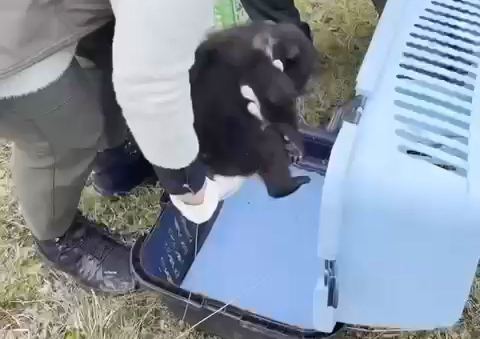 O R M A N D A Y O R G U N H A L D E B U L U N A N Y A V R U B O Z A 643048 190540