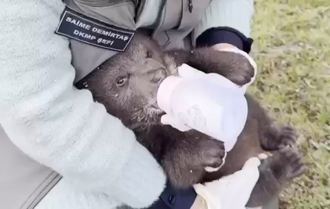 O R M A N D A Y O R G U N H A L D E B U L U N A N Y A V R U B O Z A 643049 190540