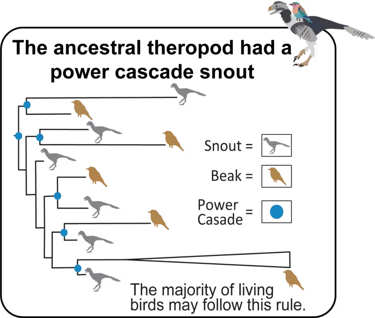 Resim 2025 04 23 115904486